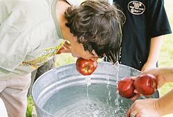 a man picking apples from a tree